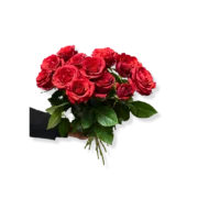Imported Red Roses