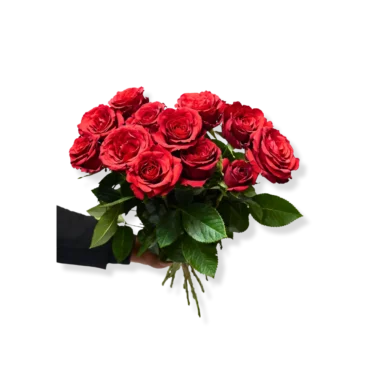 Imported Red Roses