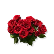 Imported Roses