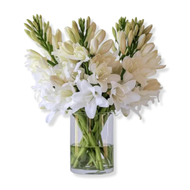 Serene Tube Roses Bouquet