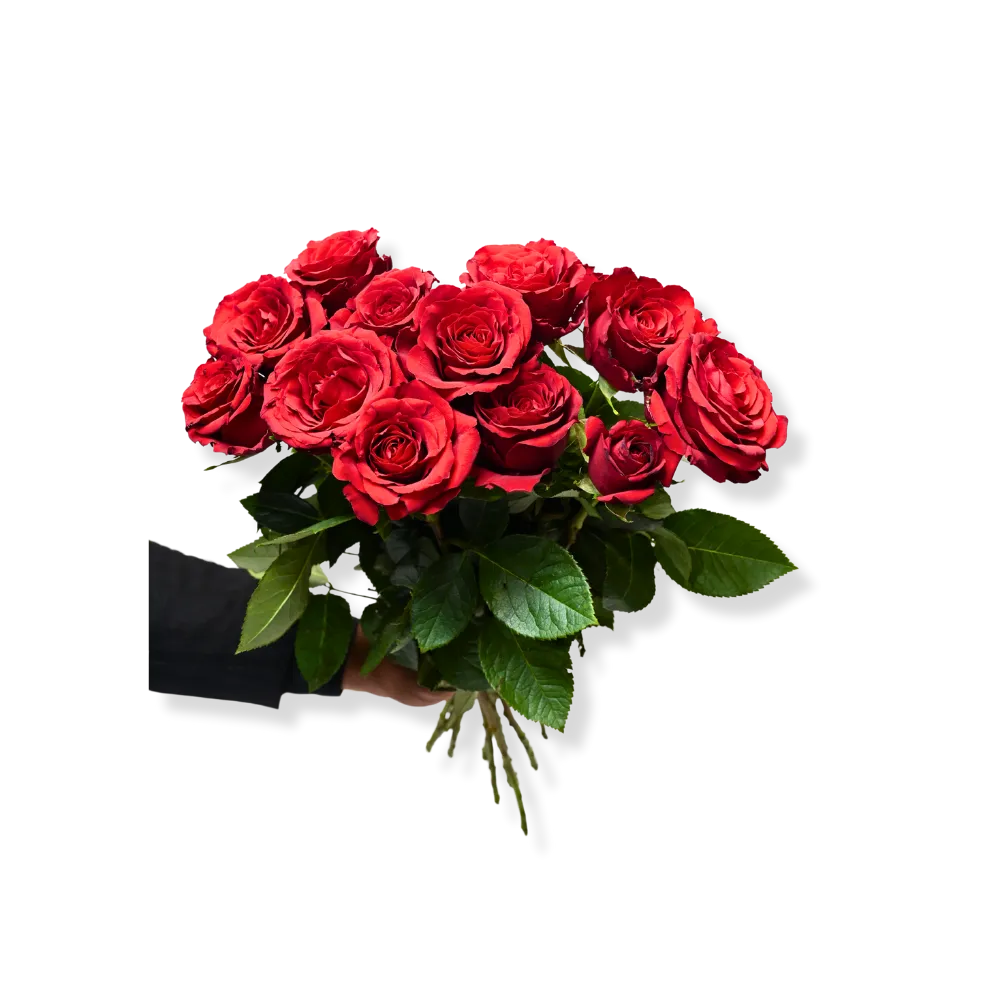 Imported Red Roses