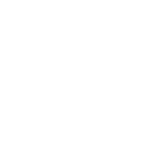 van-icon-1